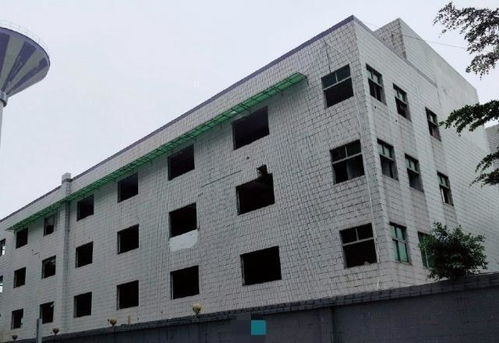 深圳坪山产业变迁下的厂房租赁困境 建筑工程的机遇与挑战